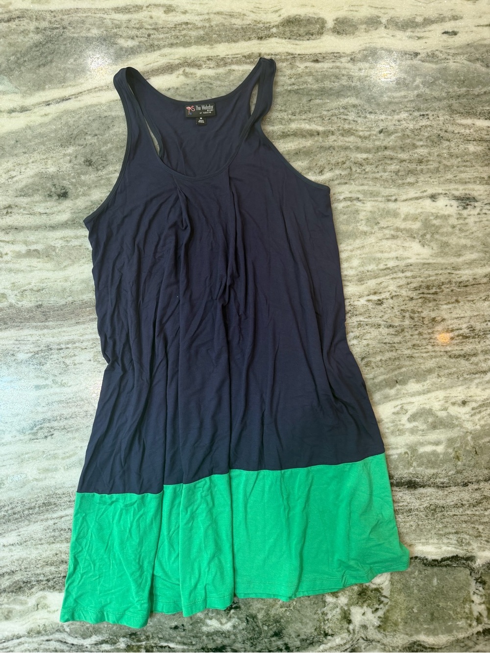 The Webster at Target Navy and Green Colorblock Tank Dress
